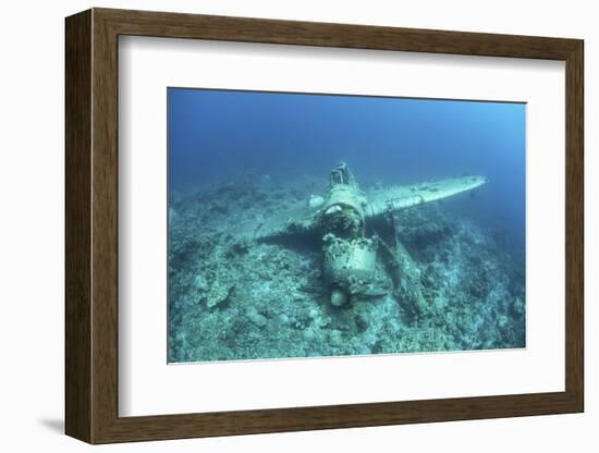 A Japanese Jake Seaplane on the Seafloor of Palau's Lagoon-Stocktrek Images-Framed Photographic Print