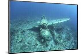 A Japanese Jake Seaplane on the Seafloor of Palau's Lagoon-Stocktrek Images-Mounted Photographic Print