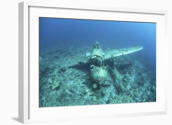 A Japanese Jake Seaplane on the Seafloor of Palau's Lagoon-Stocktrek Images-Framed Photographic Print