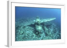 A Japanese Jake Seaplane on the Seafloor of Palau's Lagoon-Stocktrek Images-Framed Photographic Print