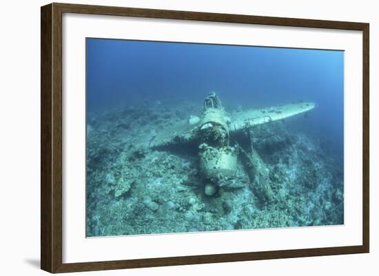 A Japanese Jake Seaplane on the Seafloor of Palau's Lagoon-Stocktrek Images-Framed Photographic Print