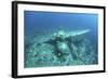 A Japanese Jake Seaplane on the Seafloor of Palau's Lagoon-Stocktrek Images-Framed Photographic Print