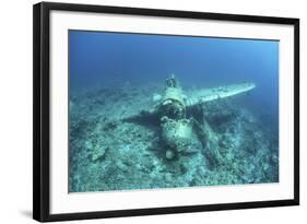 A Japanese Jake Seaplane on the Seafloor of Palau's Lagoon-Stocktrek Images-Framed Photographic Print