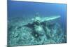 A Japanese Jake Seaplane on the Seafloor of Palau's Lagoon-Stocktrek Images-Mounted Photographic Print