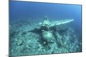 A Japanese Jake Seaplane on the Seafloor of Palau's Lagoon-Stocktrek Images-Mounted Photographic Print