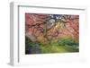 A Japanese Maple Turns Orange and Red at the Portland, Oregon Japanese Garden-Ben Coffman-Framed Photographic Print