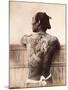 A Japanese Tattooed Man, C.1880-null-Mounted Photographic Print