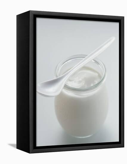 A Jar of Natural Yoghurt with Spoon-Eising Studio - Food Photo and Video-Framed Stretched Canvas