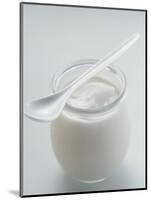 A Jar of Natural Yoghurt with Spoon-Eising Studio - Food Photo and Video-Mounted Photographic Print