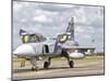 A JAS-39 Gripen of the Czech Air Force at Cambrai Air Base, France-Stocktrek Images-Mounted Photographic Print