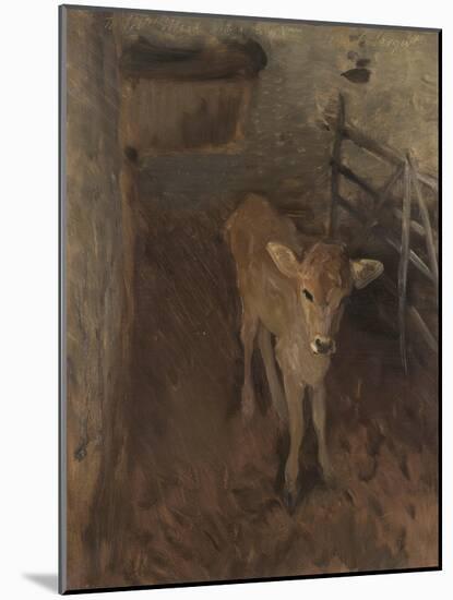 A Jersey Calf, 1893-John Singer Sargent-Mounted Giclee Print