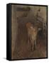 A Jersey Calf, 1893-John Singer Sargent-Framed Stretched Canvas