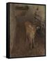 A Jersey Calf, 1893-John Singer Sargent-Framed Stretched Canvas