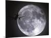 A Jet Aeroplane That Has Just Taken off from London's Heathrow Airport-null-Mounted Photographic Print