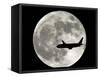 A Jet Plane Passes in Front of the Full Moon Above Surfside, Fla.-null-Framed Stretched Canvas