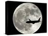 A Jet Plane Passes in Front of the Full Moon Above Surfside, Fla.-null-Stretched Canvas
