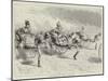 A Jinriksha Race, Ceylon-null-Mounted Giclee Print