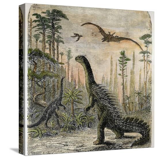 Stretched Canvas Print, , large