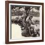 A Jolly Swagman-Pat Nicolle-Framed Giclee Print