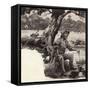 A Jolly Swagman-Pat Nicolle-Framed Stretched Canvas