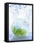 A Jug of Water with Limes-Axel Weiss-Framed Stretched Canvas