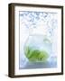 A Jug of Water with Limes-Axel Weiss-Framed Premium Photographic Print