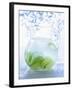 A Jug of Water with Limes-Axel Weiss-Framed Photographic Print