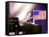 A Juvenile Bearded Dragon Places a Claw Upon an United States Flag-null-Framed Stretched Canvas
