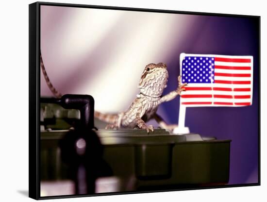 A Juvenile Bearded Dragon Places a Claw Upon an United States Flag-null-Framed Stretched Canvas