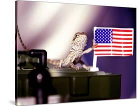 A Juvenile Bearded Dragon Places a Claw Upon an United States Flag-null-Stretched Canvas