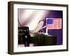 A Juvenile Bearded Dragon Places a Claw Upon an United States Flag-null-Framed Premium Photographic Print