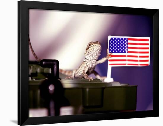 A Juvenile Bearded Dragon Places a Claw Upon an United States Flag-null-Framed Photographic Print