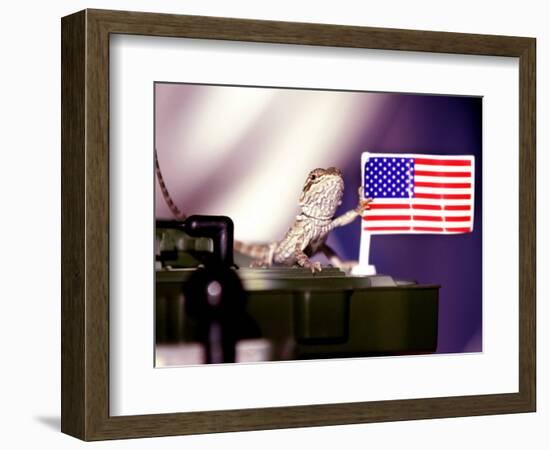 A Juvenile Bearded Dragon Places a Claw Upon an United States Flag-null-Framed Photographic Print