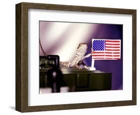 A Juvenile Bearded Dragon Places a Claw Upon an United States Flag-null-Framed Photographic Print