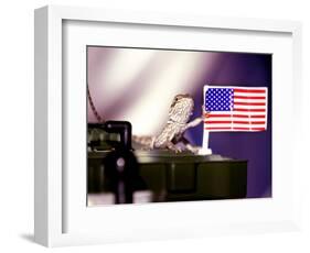 A Juvenile Bearded Dragon Places a Claw Upon an United States Flag-null-Framed Photographic Print