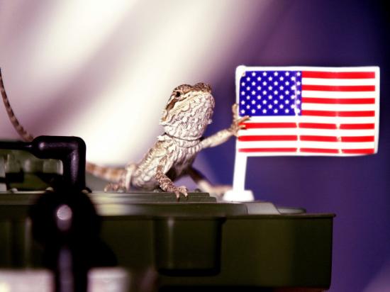 Photographic Print, , large