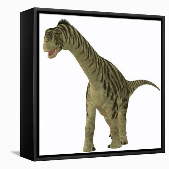 A Juvenile Camarasaurus Dinosaur-Stocktrek Images-Framed Stretched Canvas
