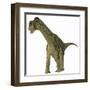 A Juvenile Camarasaurus Dinosaur-Stocktrek Images-Framed Art Print