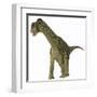 A Juvenile Camarasaurus Dinosaur-Stocktrek Images-Framed Art Print