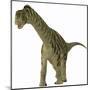 A Juvenile Camarasaurus Dinosaur-Stocktrek Images-Mounted Art Print