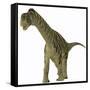 A Juvenile Camarasaurus Dinosaur-Stocktrek Images-Framed Stretched Canvas