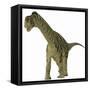 A Juvenile Camarasaurus Dinosaur-Stocktrek Images-Framed Stretched Canvas