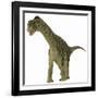 A Juvenile Camarasaurus Dinosaur-Stocktrek Images-Framed Art Print