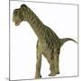 A Juvenile Camarasaurus Dinosaur-Stocktrek Images-Mounted Art Print