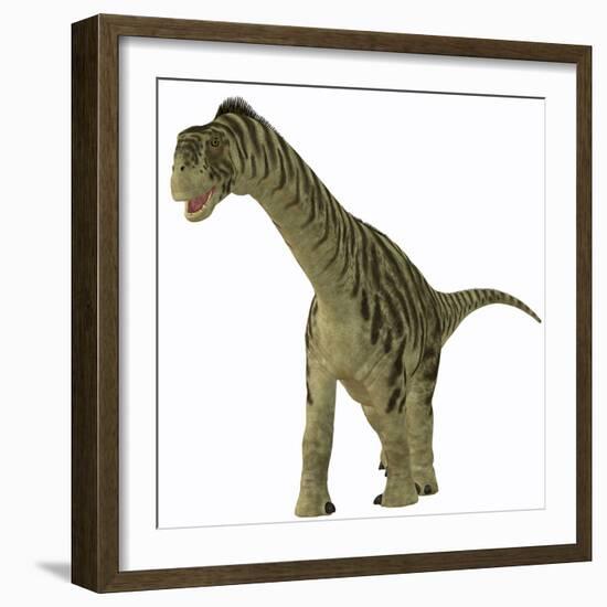 A Juvenile Camarasaurus Dinosaur-Stocktrek Images-Framed Art Print