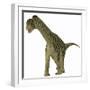 A Juvenile Camarasaurus Dinosaur-Stocktrek Images-Framed Art Print