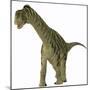 A Juvenile Camarasaurus Dinosaur-Stocktrek Images-Mounted Art Print