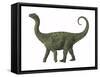 A Juvenile Saltasaurus Sauropod Dinosaur of the Cretaceous Period-null-Framed Stretched Canvas