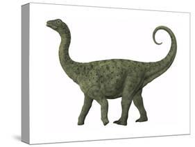 A Juvenile Saltasaurus Sauropod Dinosaur of the Cretaceous Period-null-Stretched Canvas
