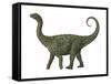 A Juvenile Saltasaurus Sauropod Dinosaur of the Cretaceous Period-null-Framed Stretched Canvas